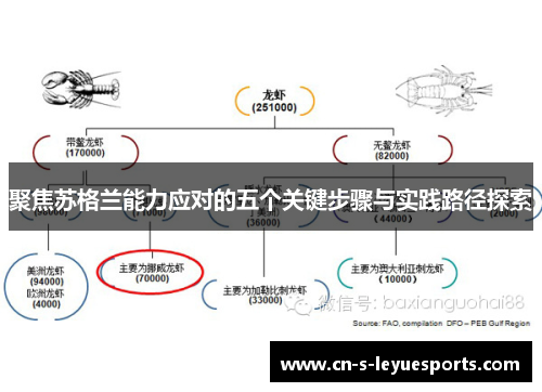 聚焦苏格兰能力应对的五个关键步骤与实践路径探索 聚焦苏格兰能力应对的五个关键步骤与实践路径探索