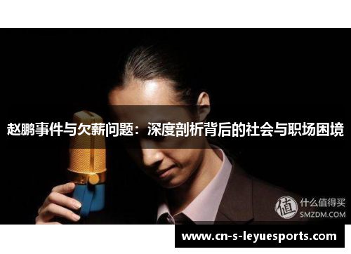 赵鹏事件与欠薪问题：深度剖析背后的社会与职场困境