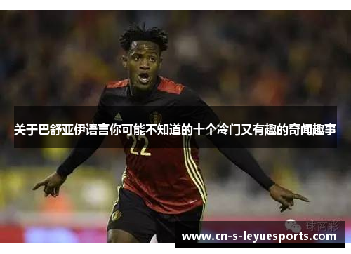 关于巴舒亚伊语言你可能不知道的十个冷门又有趣的奇闻趣事