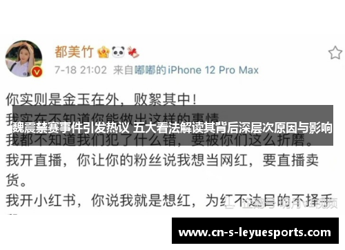 魏震禁赛事件引发热议 五大看法解读其背后深层次原因与影响