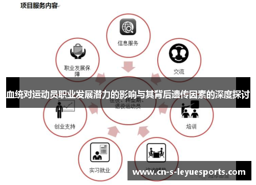 血统对运动员职业发展潜力的影响与其背后遗传因素的深度探讨