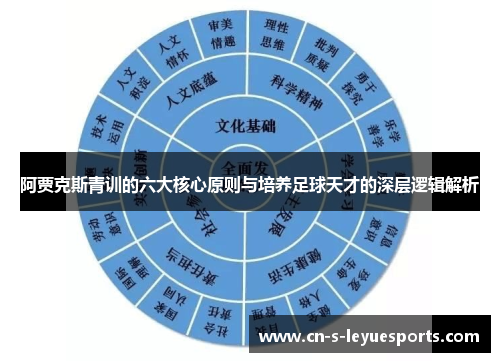 阿贾克斯青训的六大核心原则与培养足球天才的深层逻辑解析 阿贾克斯青训的六大核心原则与培养足球天才的深层逻辑解析